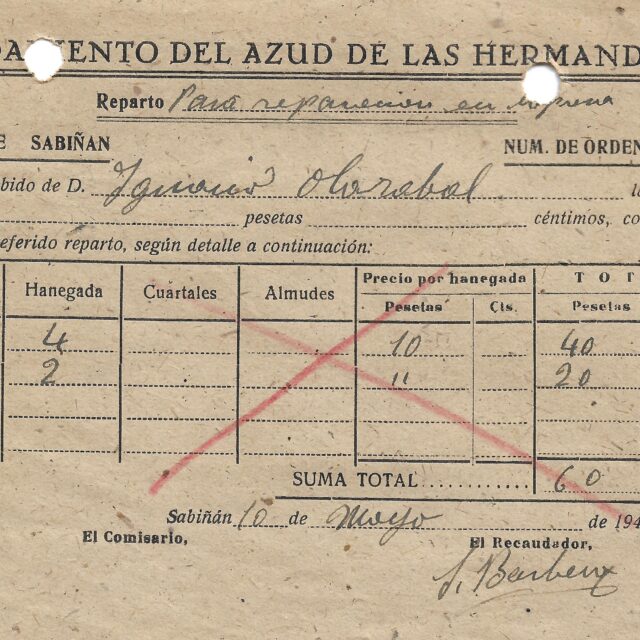 Riegos de huertos y hortalizas